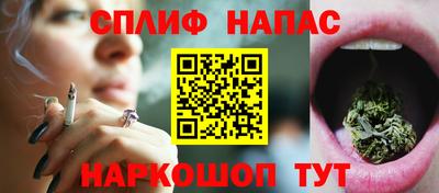 гашик Камышлов