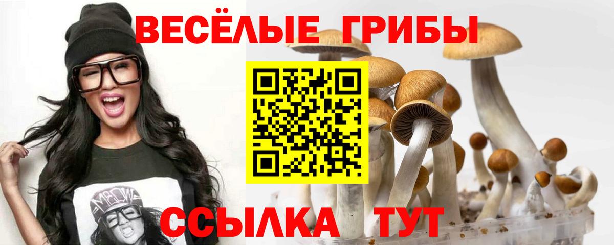 Галлюциногенные грибы Psilocybe Лабытнанги